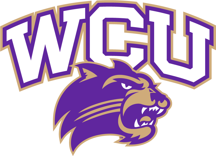 Western Carolina Catamounts 2015 Secondary Logo diy DTF decal sticker